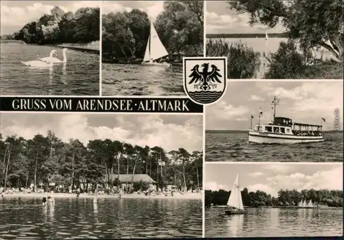 Arendsee (Altmark) Schwäne, Segelboot, Uferbereich, Fähre, Strand 1972