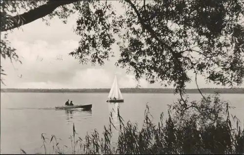 Ansichtskarte Arendsee (Altmark) Boote auf dem See 1966