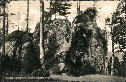 Ansichtskarte Manebach-Ilmenau Großer Hammerstein 1957