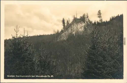 Ansichtskarte Manebach-Ilmenau Großer Hammerstein 1955