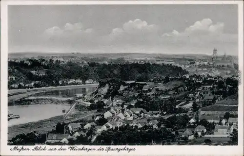 Ansichtskarte Meißen Panorama-Ansicht 1961