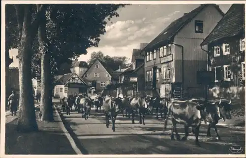 Ansichtskarte Braunlage Braunlager Damenkapelle 1930