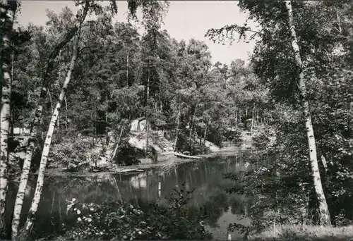 Ansichtskarte Sachsen-Anhalt Birkensee 1980