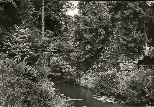 Wörlitz Oranienbaum-  Landschaftspark Wörlitz: Kettenbrücke 1976