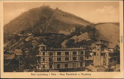 Ansichtskarte Bad Lauterberg im Harz Haus Bartelsruh und Hausberg 1922