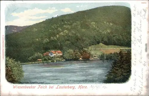 Ansichtskarte Bad Lauterberg im Harz Restauration - Wiesenbeeker Teich 1902 