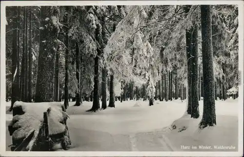 Ansichtskarte Bad Lauterberg im Harz Harz im Winter Waldesruhe 1940 