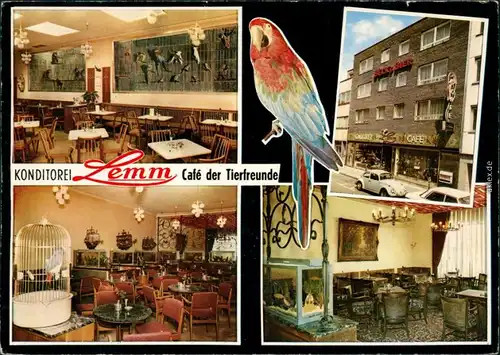 Köln  4 Bild: Konditorei Lemm - Innen und Außen - Cafe  Tierfreunde 1977