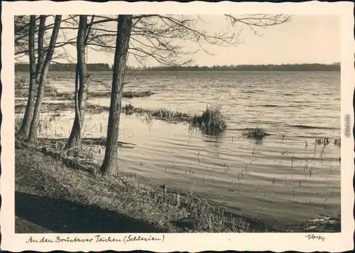 Ansichtskarte Brustau (Schlesien) An den Brustauer Teichen 1932 