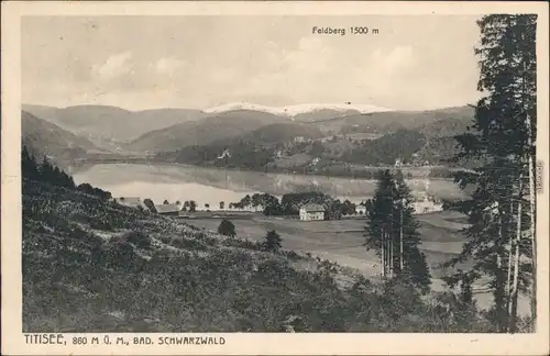 Ansichtskarte Titisee Panorama-Ansicht 1963