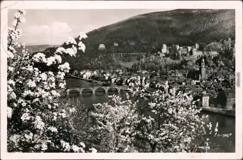 Ansichtskarte Heidelberg Stadt im Blütenzauber 1949 