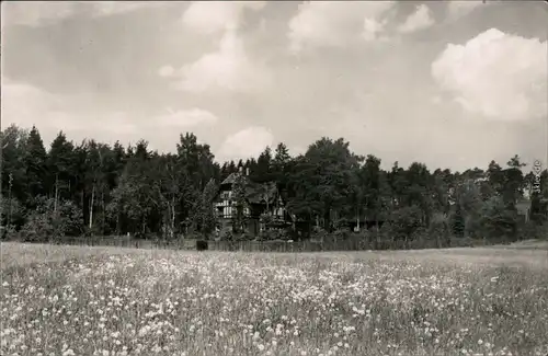 Ansichtskarte Schmannewitz-Dahlen Forsthaus mit Wiese im Vordergrund 1959