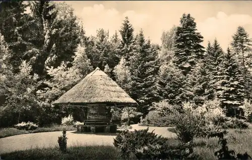 Ansichtskarte Buckow (Märkische Schweiz) Pavillon im Wald 1961