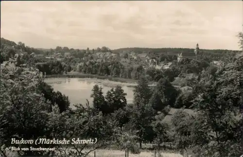 Ansichtskarte Buckow (Märkische Schweiz) Blick vom Storchennest 1960 
