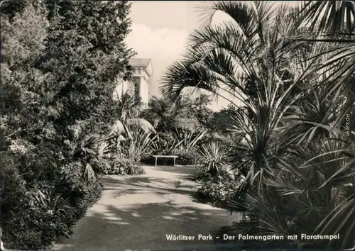 Wörlitz-Oranienbaum-Wörlitz Wörlitzer Park - Palmengarten mit Floratempel 1964