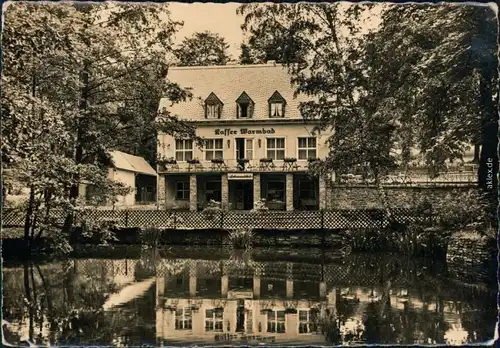 Ansichtskarte Warmbad-Wolkenstein Wismut-Sanatorium - HO-Café mit Teich 1960