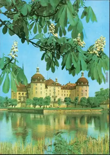 Ansichtskarte Moritzburg Kgl. Jagdschloss 1970