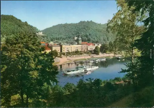 Ansichtskarte Bad Schandau Panorama-Ansicht mit Elbdampfer 1988