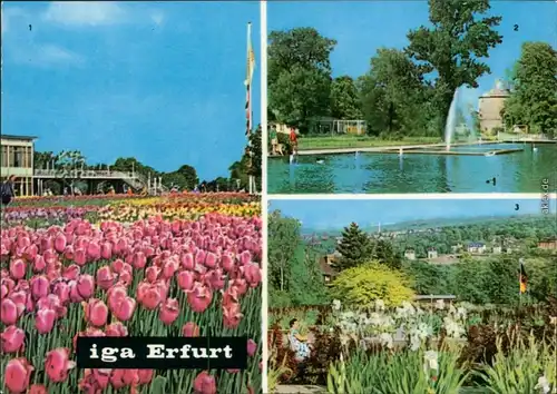Erfurt Internationale Gartenbauausstellung der DDR (IGA)  Wasserspiele