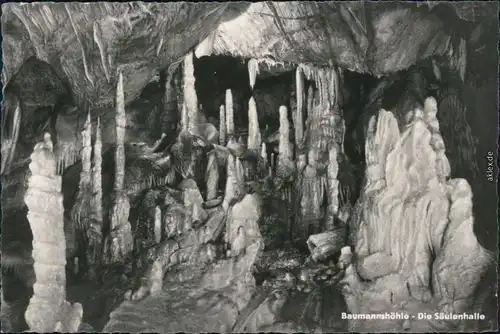 Ansichtskarte Rübeland Baumannshöhle - Die Säulenhalle 1959