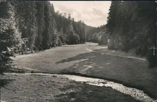 Ansichtskarte Tambach-Dietharz Apfelstädter Grund 1960