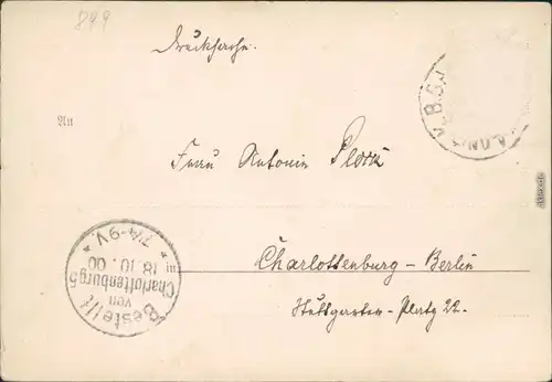 Ansichtskarte Lindau (Bodensee) Panorama-Ansicht mit Dampfer 1900