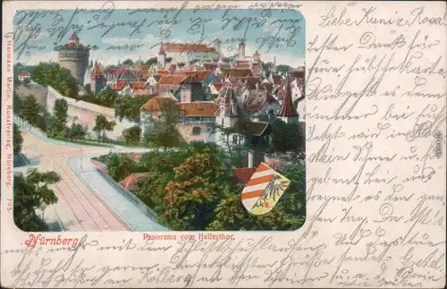 Ansichtskarte Nürnberg Panorama-Ansicht vom Hallerthor 1905
