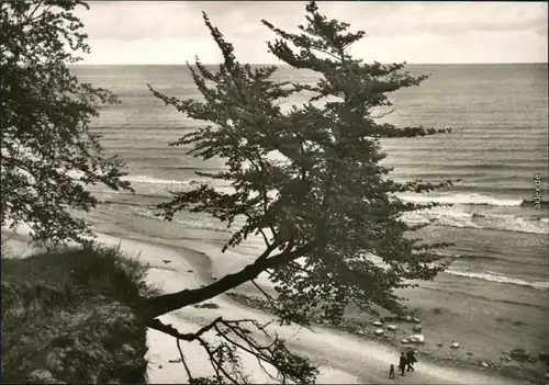 Allgemein Mecklenburg Vorpommern Uferbereich mit Strand und Meer 1970