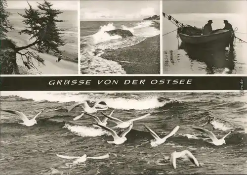 Allgemein Mecklenburg Vorpommern Uferbereich, Strand, Boot, Meer, Möwen 1971