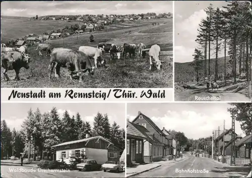 Neustadt am Rennsteig  Reuscheltal, Waldbaude Dreihernstein, Bahnhofstraße 1978