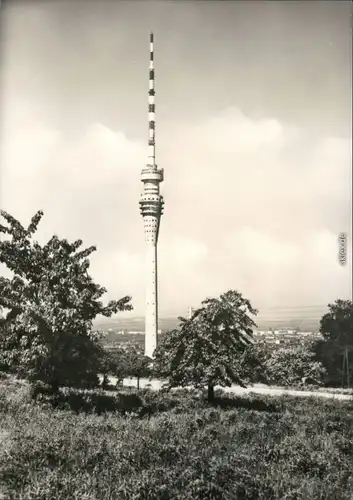 Pappritz Dresden Fernsehturm Dresden Foto Ansichtskarte 1970