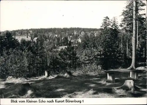 Ansichtskarte Bärenburg-Altenberg (Erzgebirge) Panorama 1972
