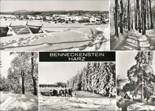 Benneckenstein Winterliche Szenen - Überblick, Waldweg, Kutsche 1981