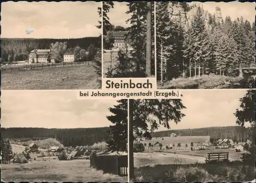 Ansichtskarte Steinbach-Johanngeorgenstadt Gutshof, Waldmotiv, Überblick 1960