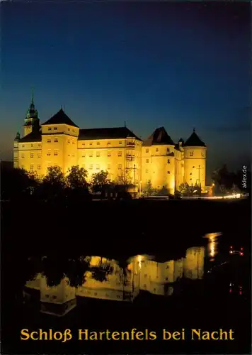 Ansichtskarte Torgau Schloss Hartenfels bei Nacht 1995