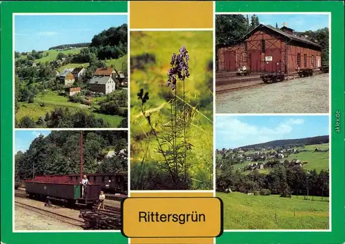 Rittersgrün Breitenbrunn (Erzgebirge) Schmalspurmuseum, Bahnhof Hammerberg 1984