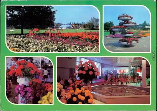Ansichtskarte Erfurt Internationale Gartenbauausstellung der DDR (IGA) 1980