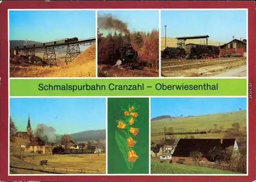 Ansichtskarte _Sachsen allgemein Schmalspurbahn Cranzahl-Oberwiesenthal 1984