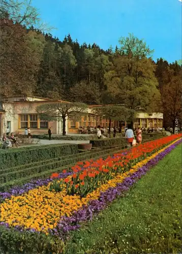 Ansichtskarte Bad Elster Badecafé 1974