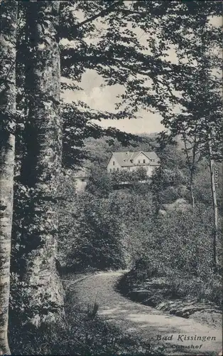 Ansichtskarte Bad Kissingen Weg zum Ciziushof 1908 