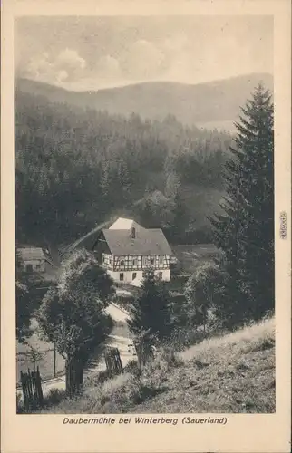Ansichtskarte Winterberg Partie an der Daubermühle Sauerland 1916 