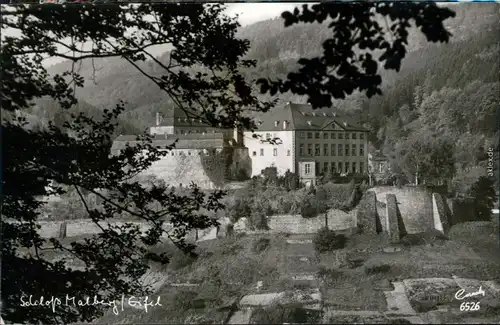 Ansichtskarte Malberg (Eifel) Schloss xx 1964