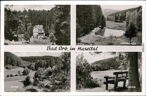 Ansichtskarte Bad Orb Haselruh, Haselquelle, Im Tal, Talblick 1962