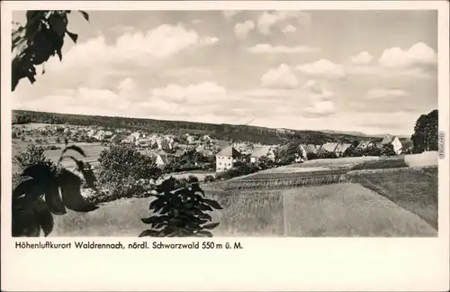 Ansichtskarte Waldrennach-Neuenbürg Panorama-Ansicht 1963