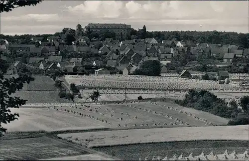 Ansichtskarte Rhoden-Diemelstadt Panorama-Ansicht 1965