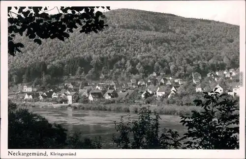 Ansichtskarte Neckargemünd Panorama-Ansicht 1964