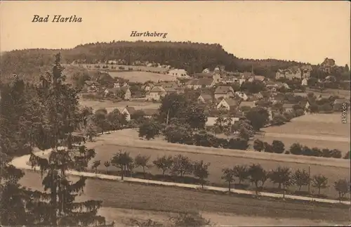 Ansichtskarte Hartha Panorama-Ansicht 1919