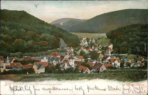 Ansichtskarte Bad Grund (Harz) Panorama-Ansicht 1904