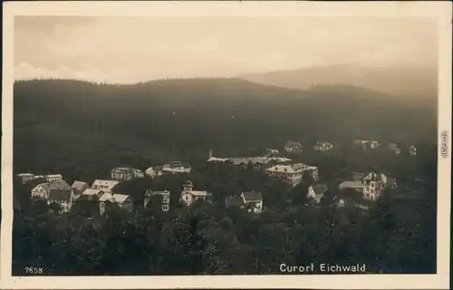 Ansichtskarte Eichwald (Erzgebirge) Dubí Panorama-Ansicht 1929