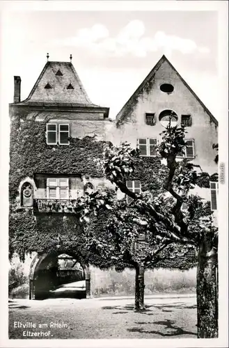 Ansichtskarte Eltville am Rhein Eltzerhof 1960